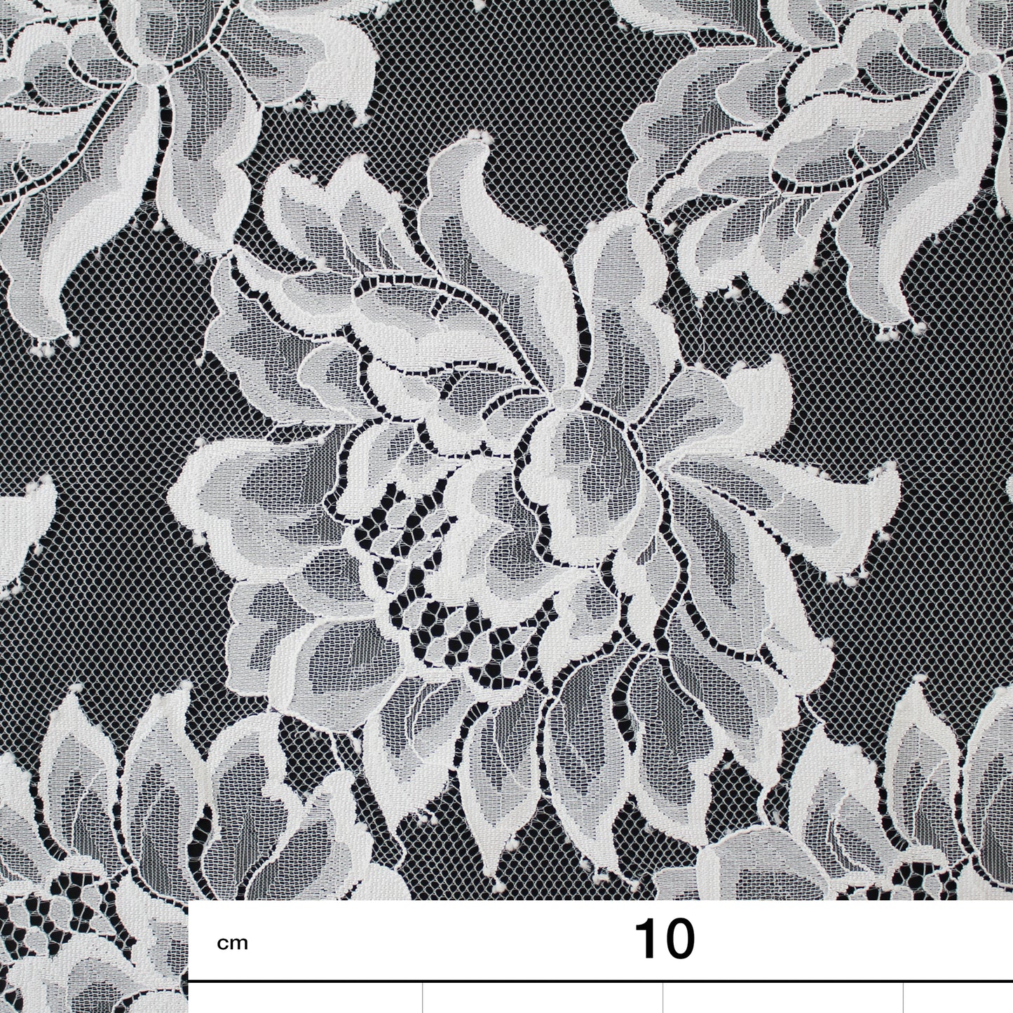 Chantilly Lace | Large Floral Motifs | Double Scalloped Edge | H 150 cm | FW4279