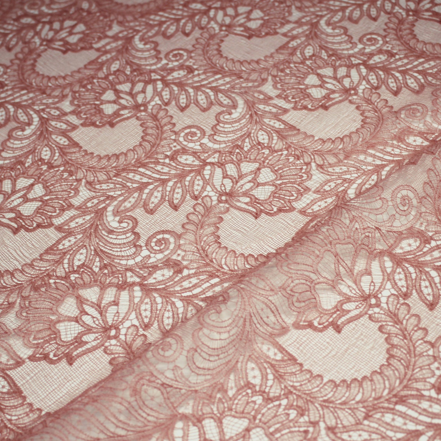 Double Border Embroidered Lace with Flowers and Leaves