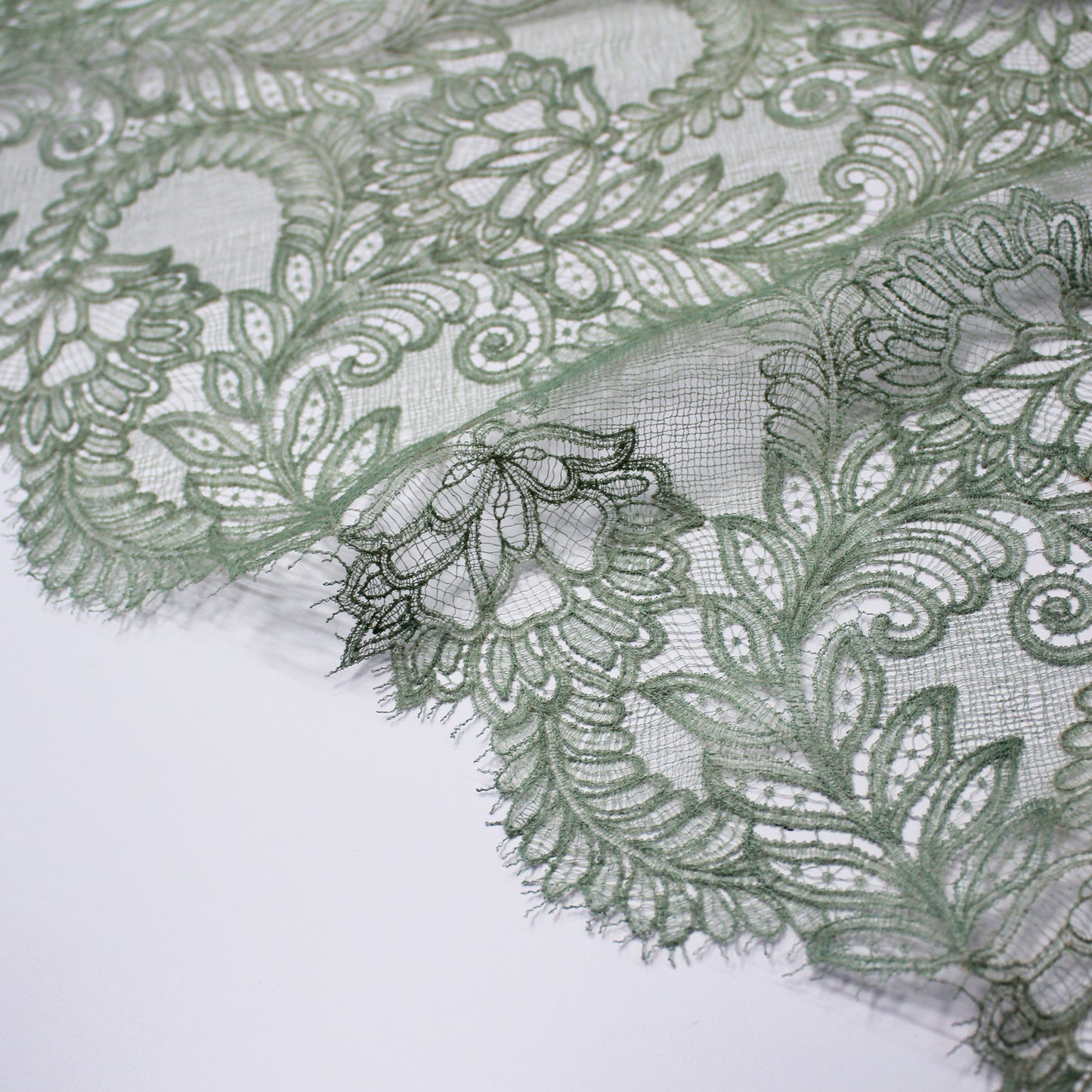 Double Border Embroidered Lace with Flowers and Leaves