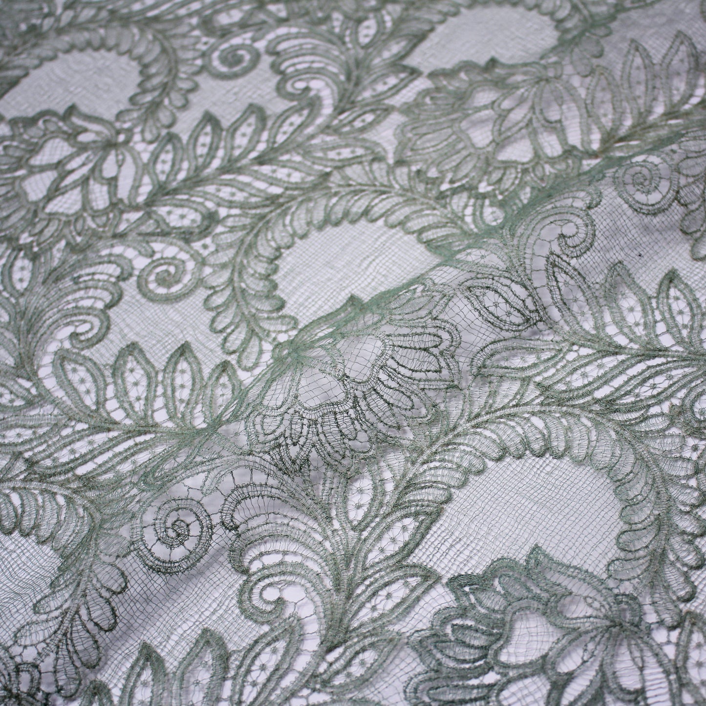 Double Border Embroidered Lace with Flowers and Leaves