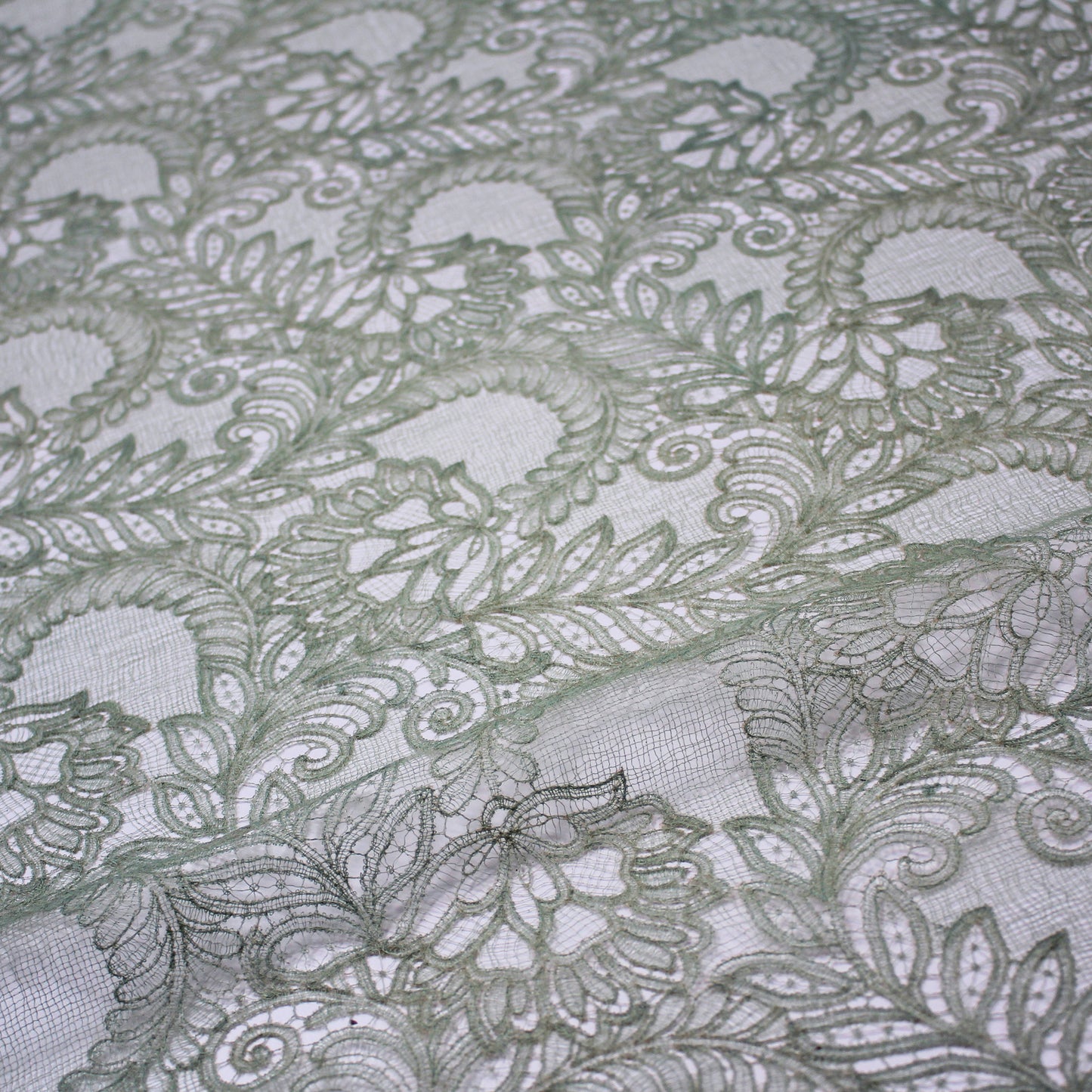 Double Border Embroidered Lace with Flowers and Leaves