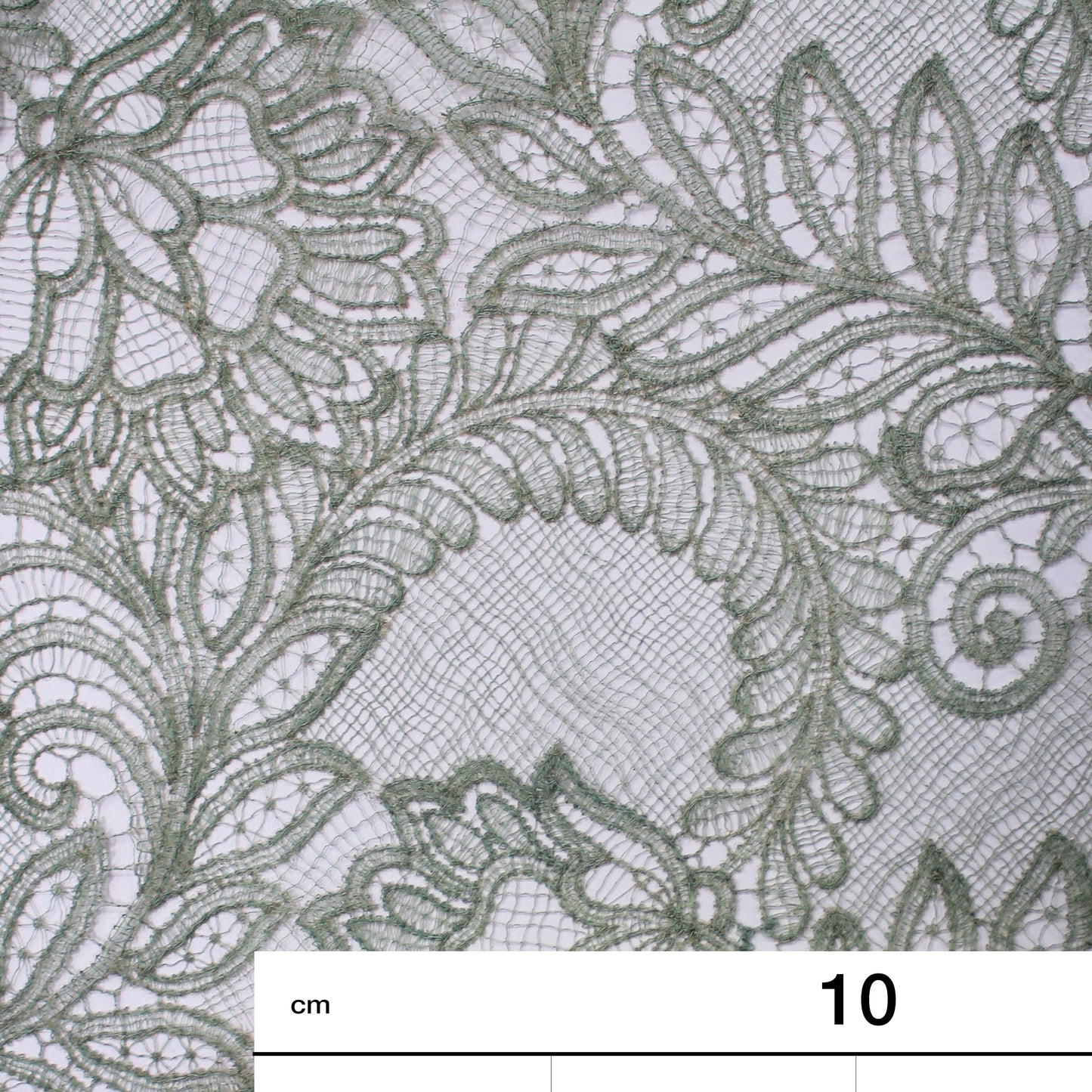 Double Border Embroidered Lace with Flowers and Leaves