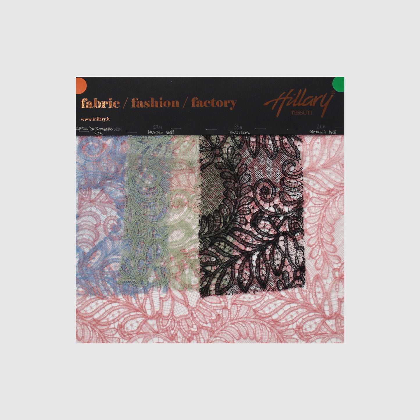 Double Border Embroidered Lace with Flowers and Leaves Sample