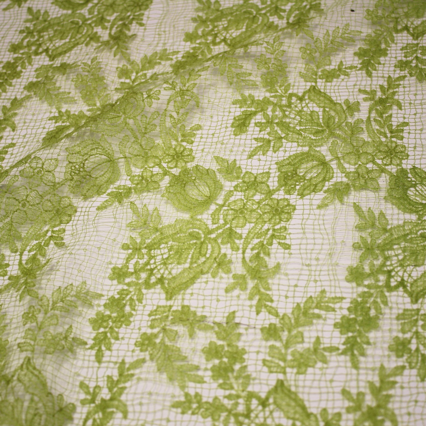 Double Border Embroidered Lace with Flowers
