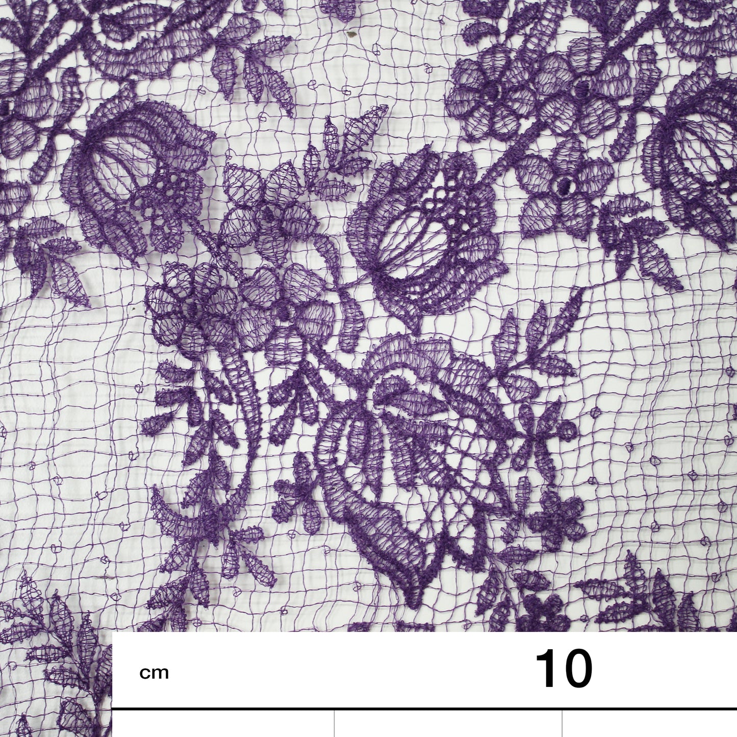 Double Border Embroidered Lace with Flowers