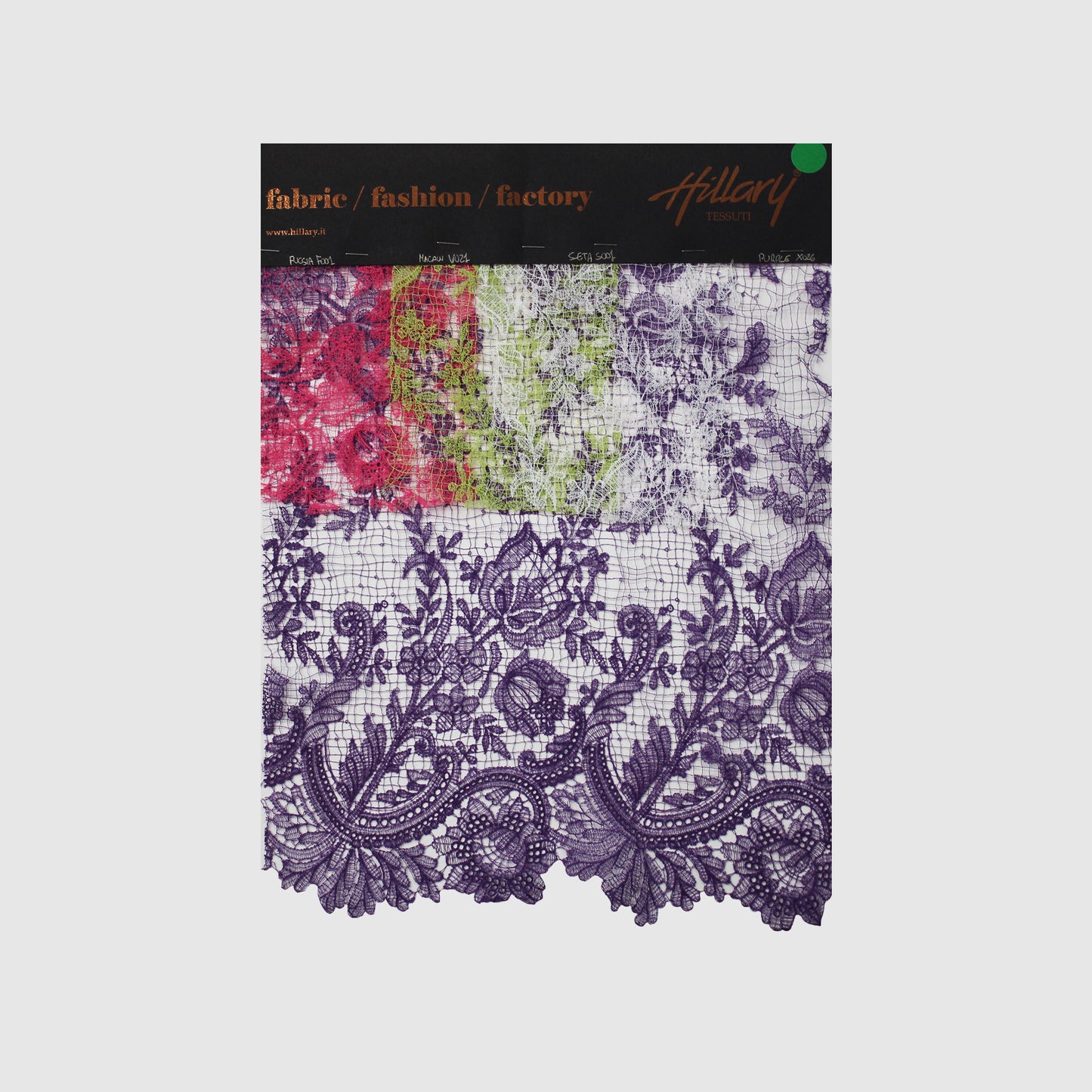 Double Border Embroidered Lace with Flowers Sample