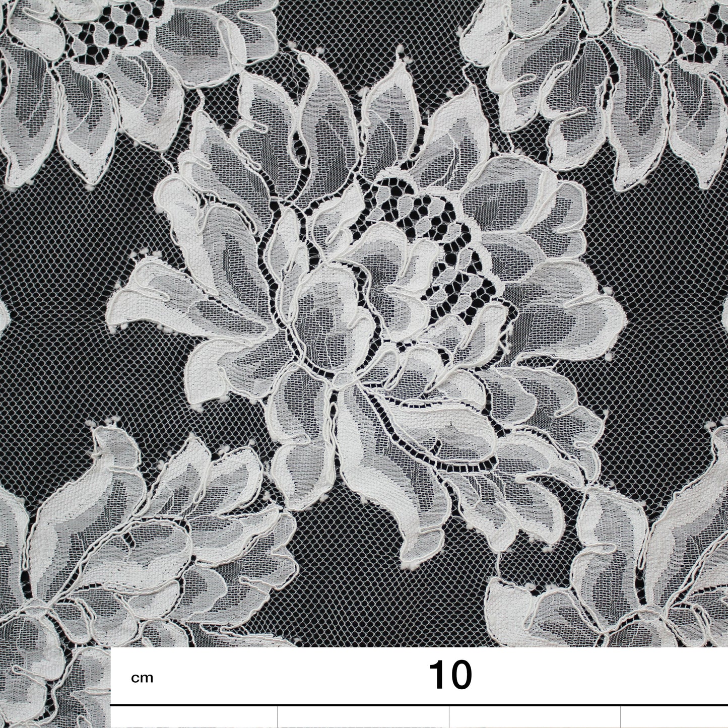 Re-embroidered Lace | Large Flowers | Double Scalloped Edge | H 150 cm | FSW4280