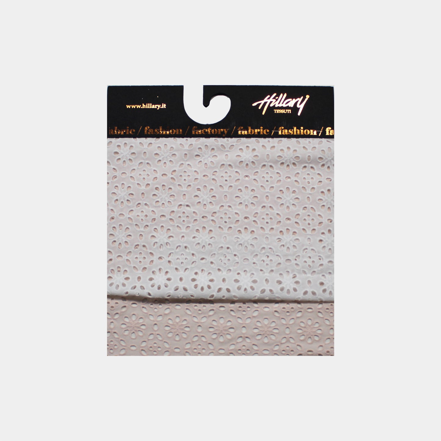 Sangallo Lace Sample