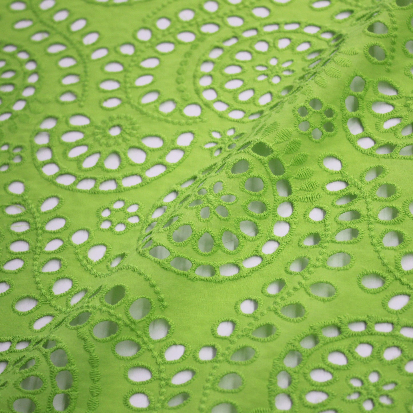 Sangallo Lace with Circles and Abstract Pattern