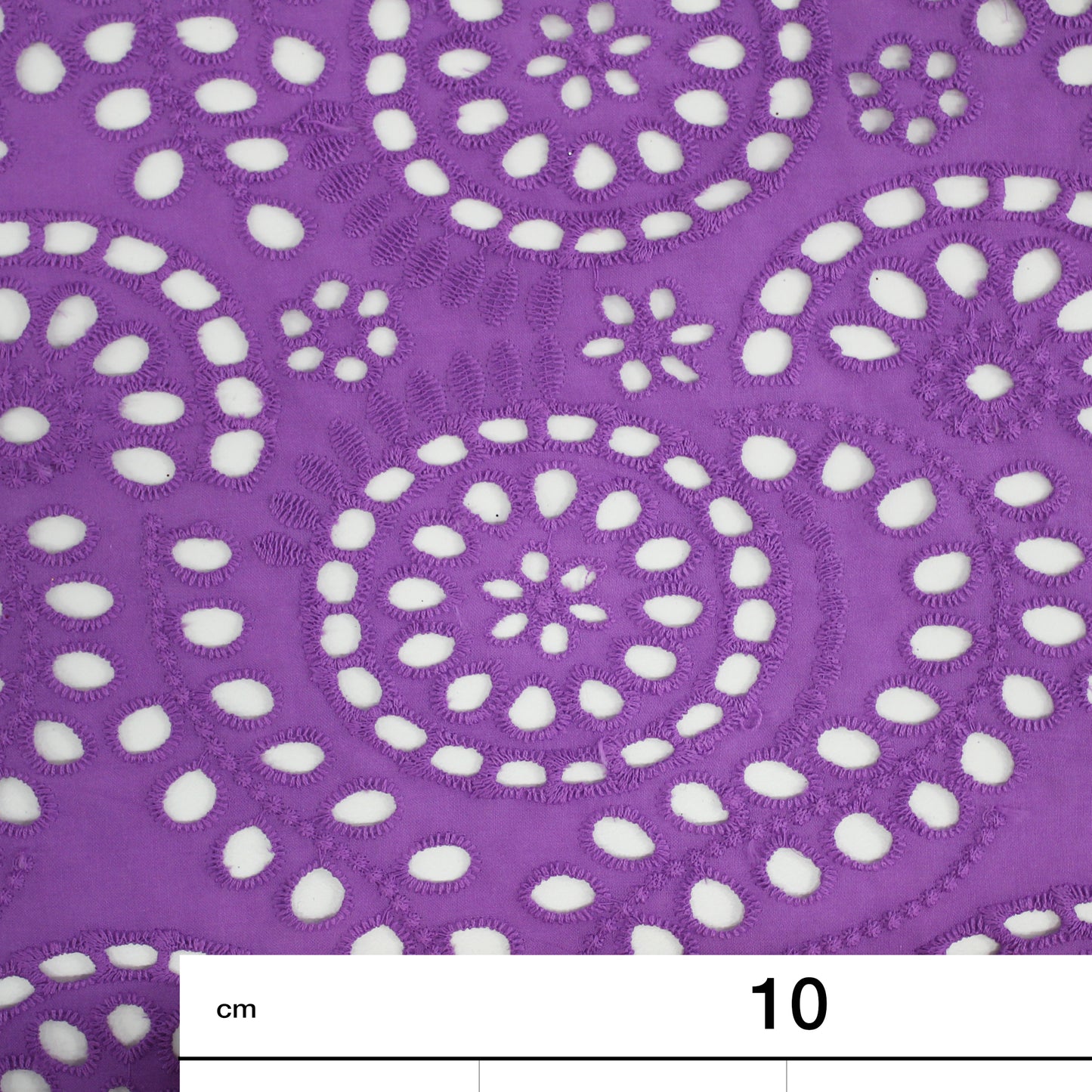 Sangallo Lace with Circles and Abstract Pattern