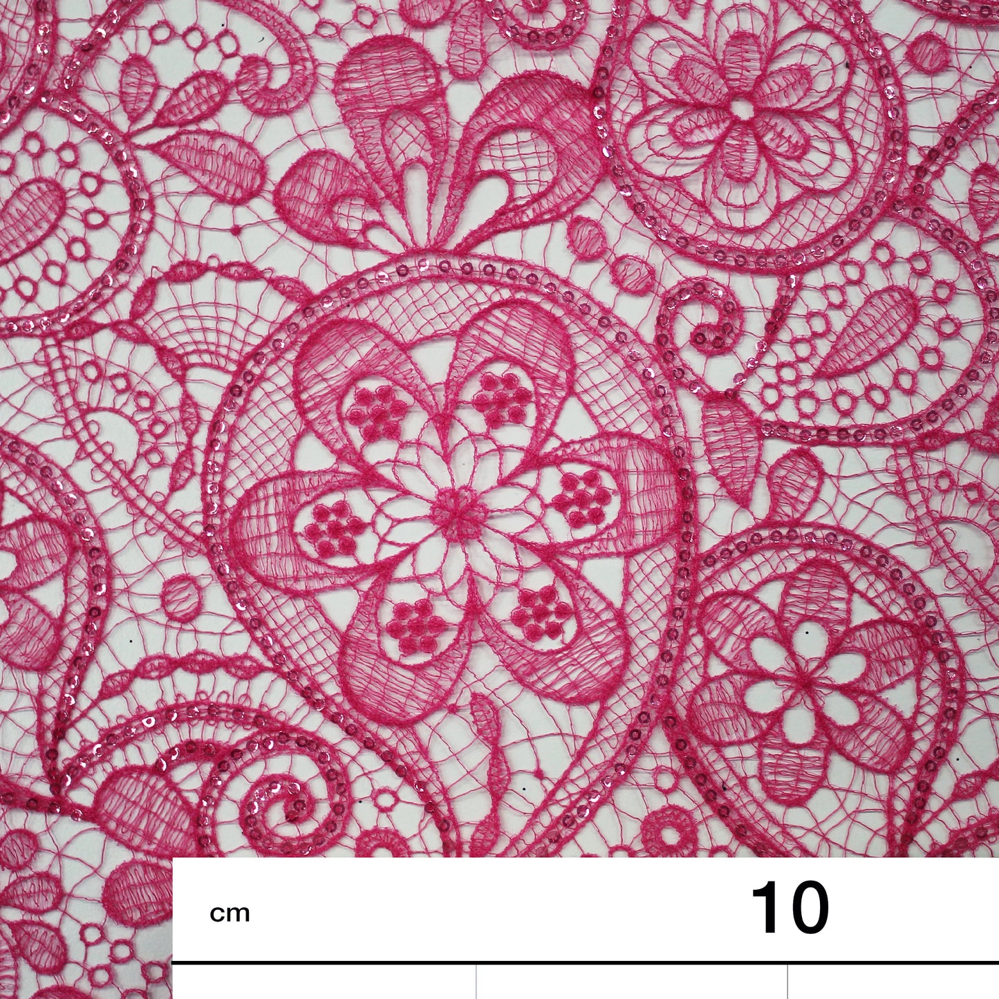 Double Border Lace Effect Netting Embroidered with Paisley and Paillettes