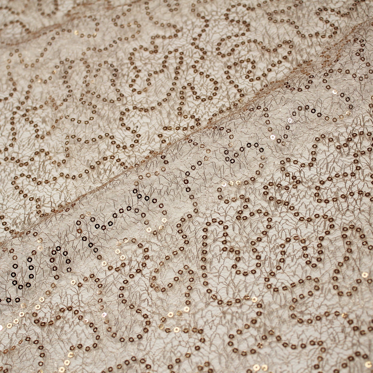 Embroidered Netting with Paillettes