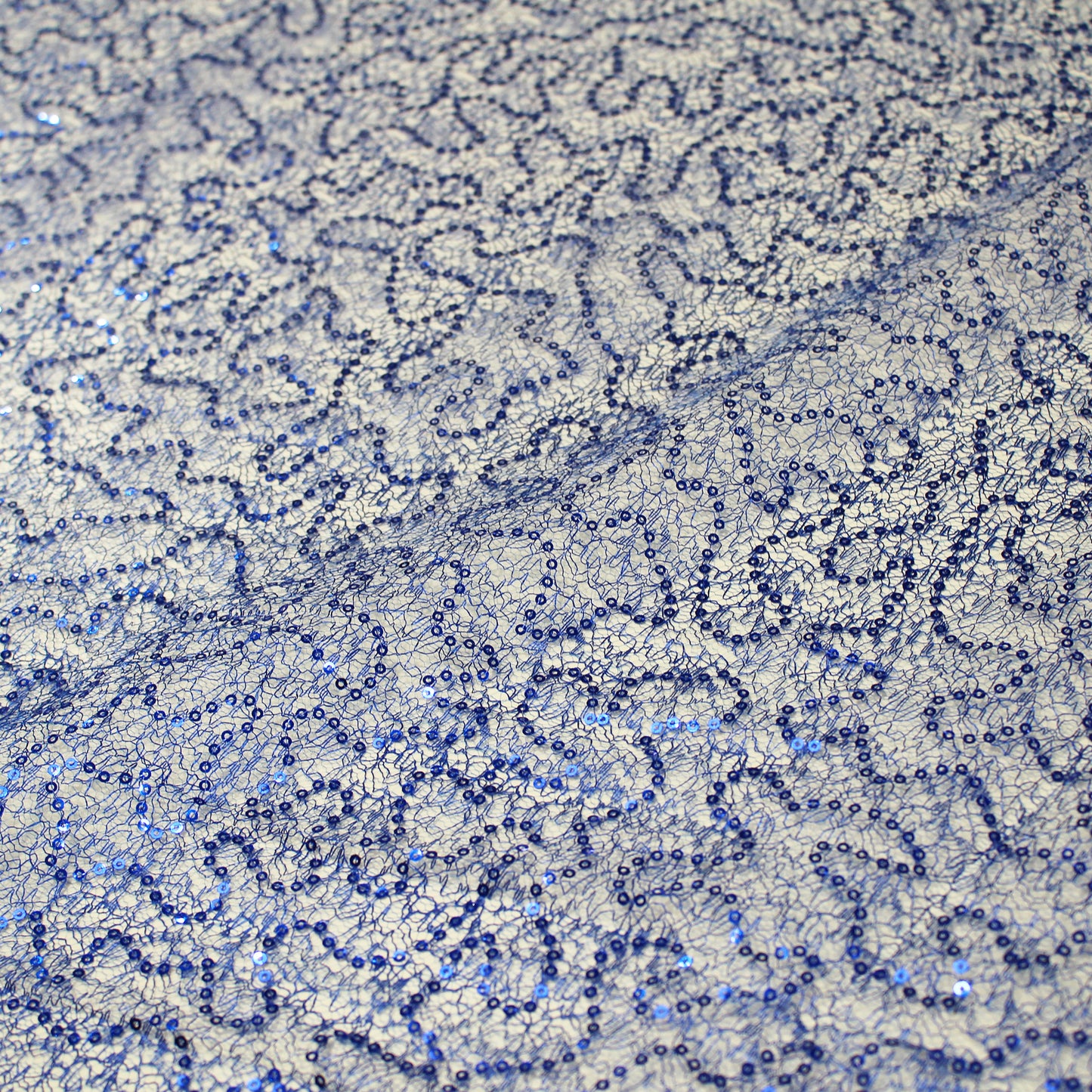 Embroidered Netting with Paillettes
