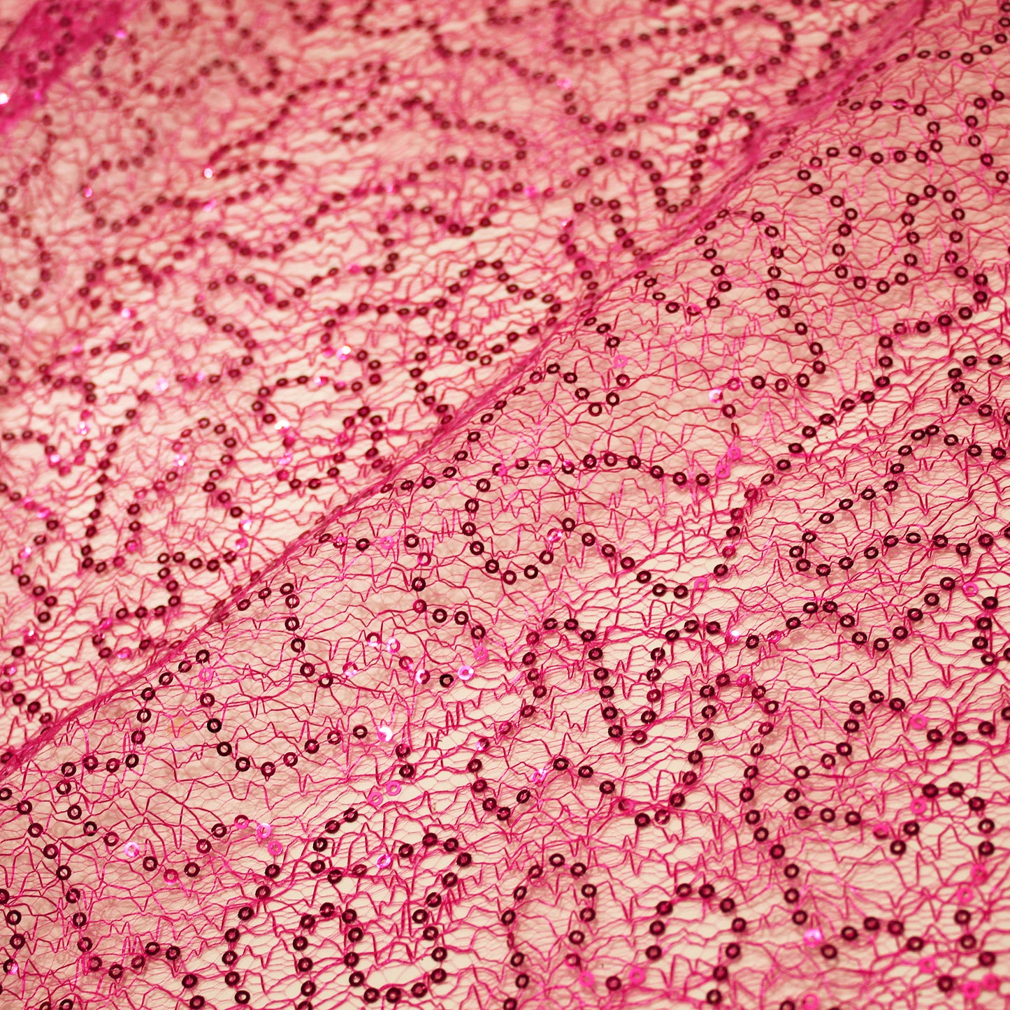 Embroidered Netting with Paillettes