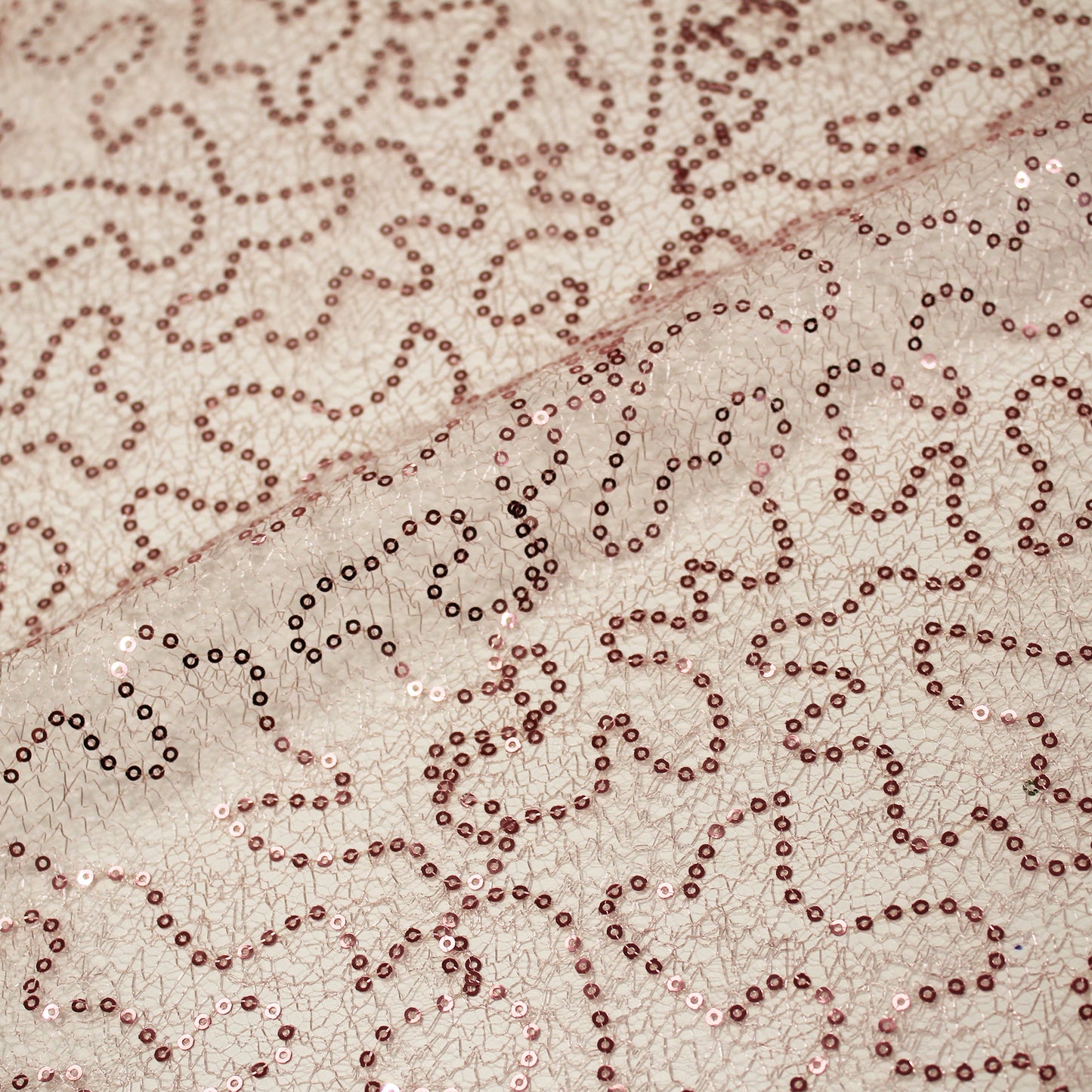 Embroidered Netting with Paillettes
