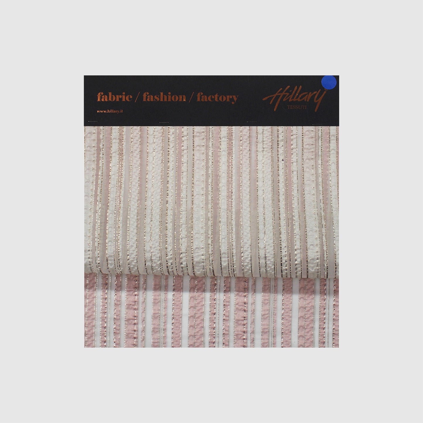 Brocade Fabric with Organza Base and Stripes & Regular Lines Sample