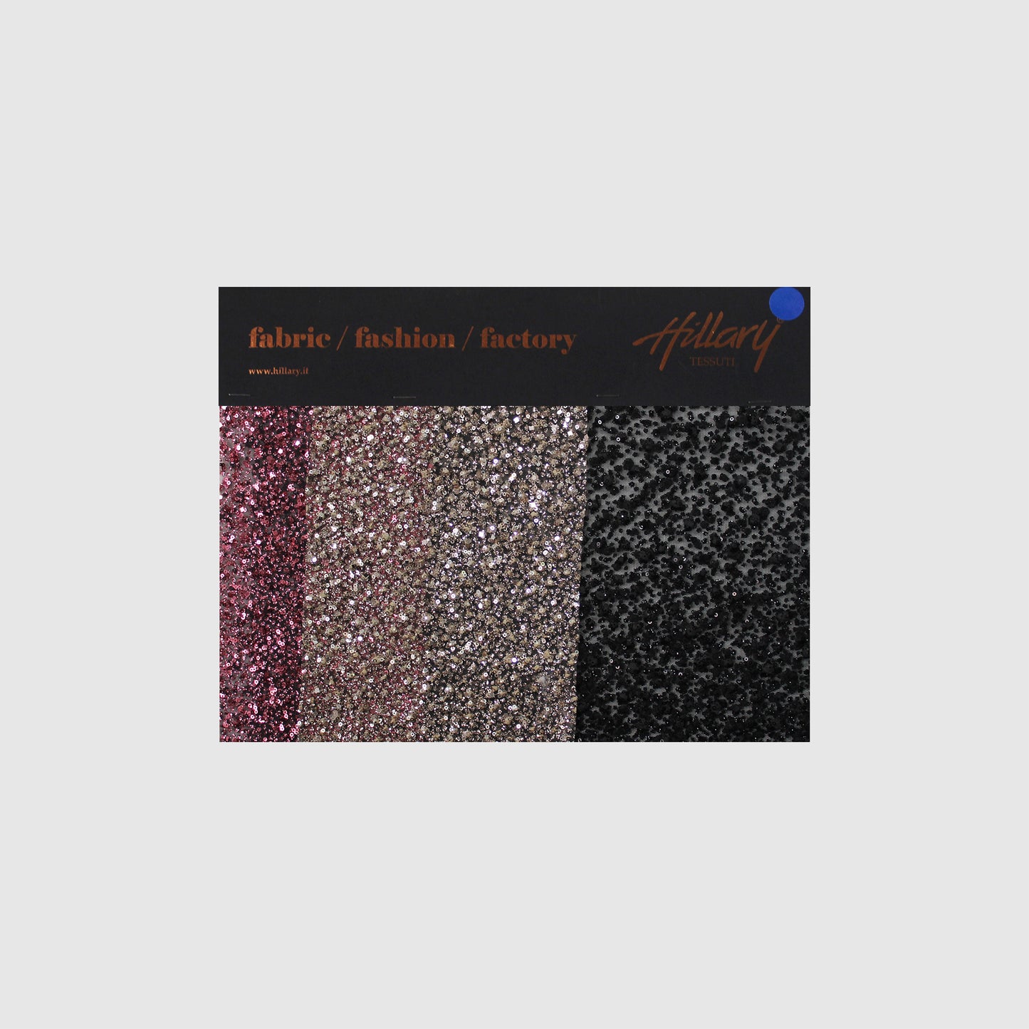 Embroidered Glitter Tulle with Double Border, 3D Puffy Degradé & Sequins Sample