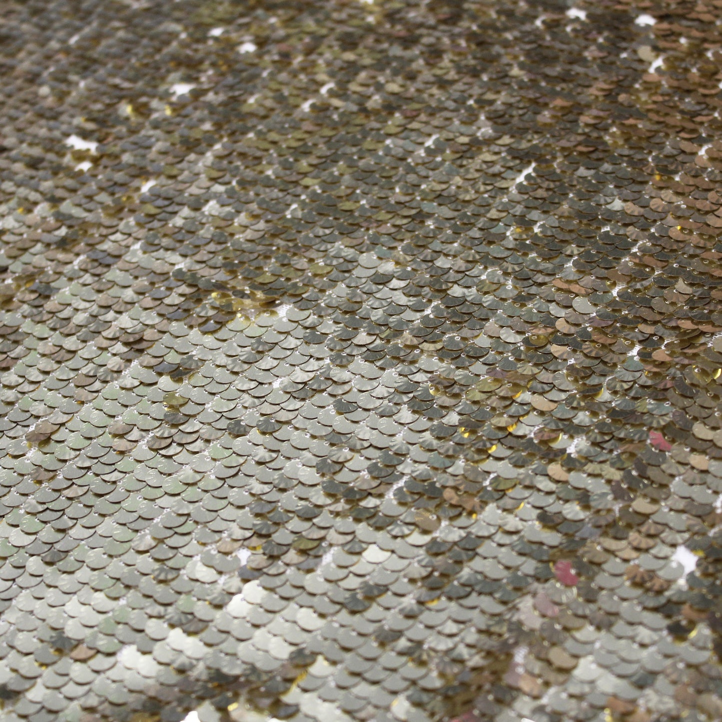 Embroidered Tulle with Shell Sequins in Full Field