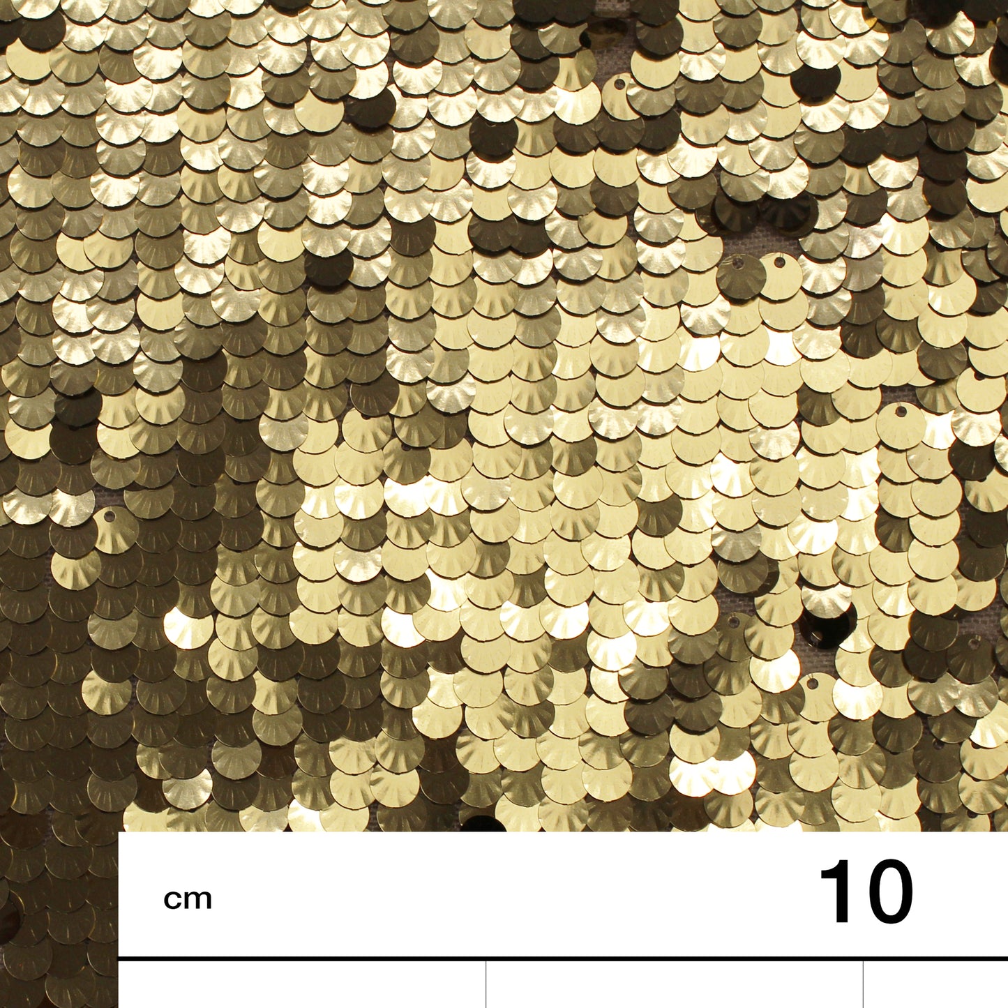 Embroidered Tulle with Shell Sequins in Full Field