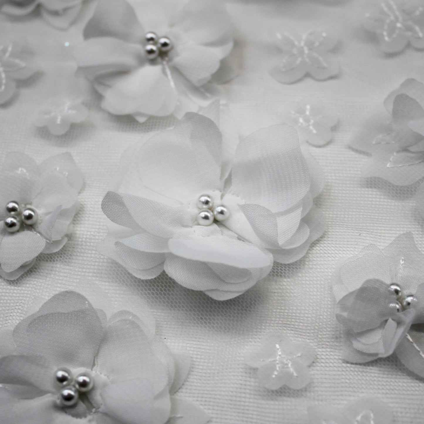 Embroidered Tulle with Beaded Raised Floral Motifs on Voile