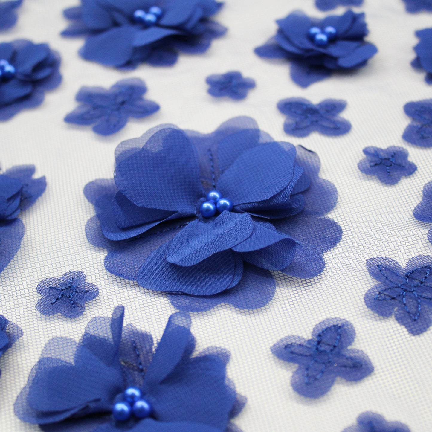 Embroidered Tulle with Beaded Raised Floral Motifs on Voile