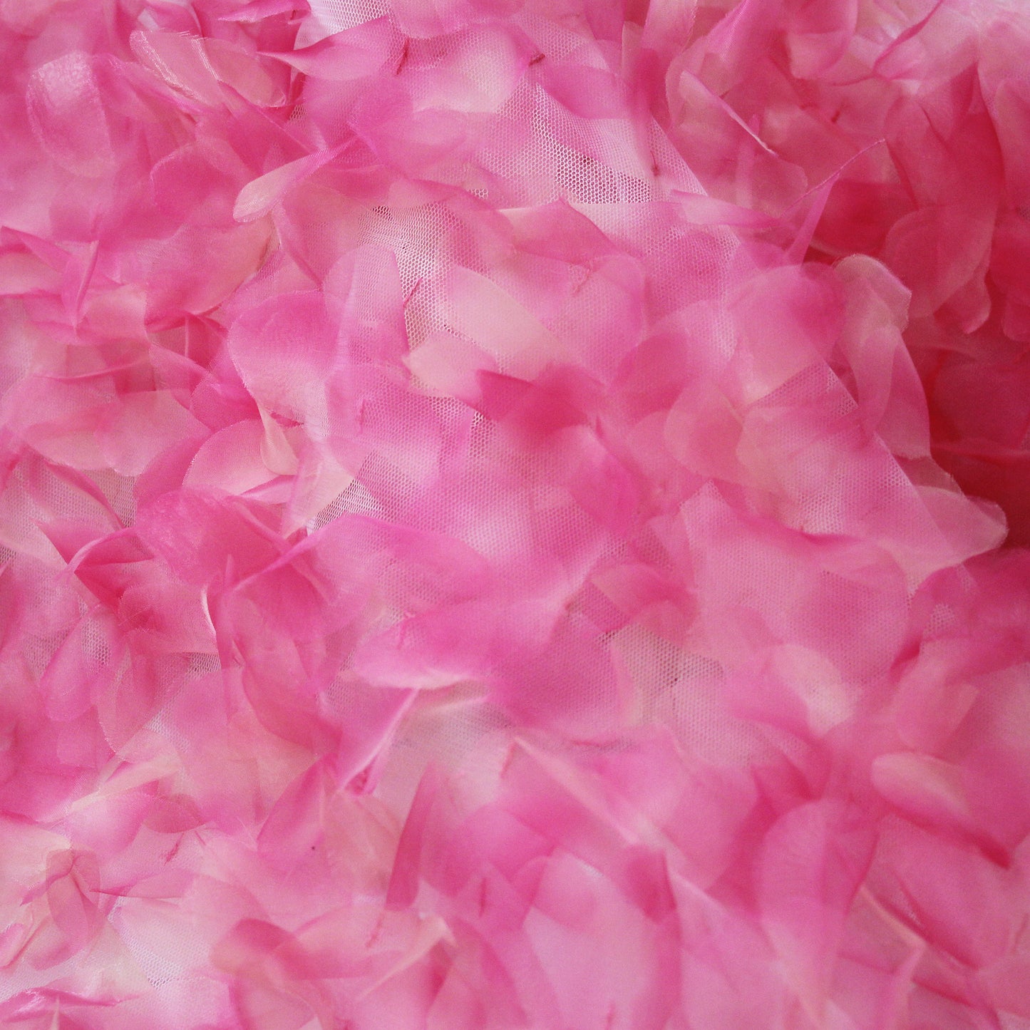 Embroidered Tulle with 3D Organza Petals and Ombre Effect