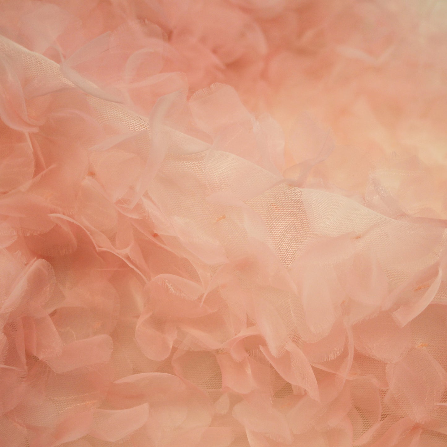 Embroidered Tulle with 3D Organza Petals and Ombre Effect
