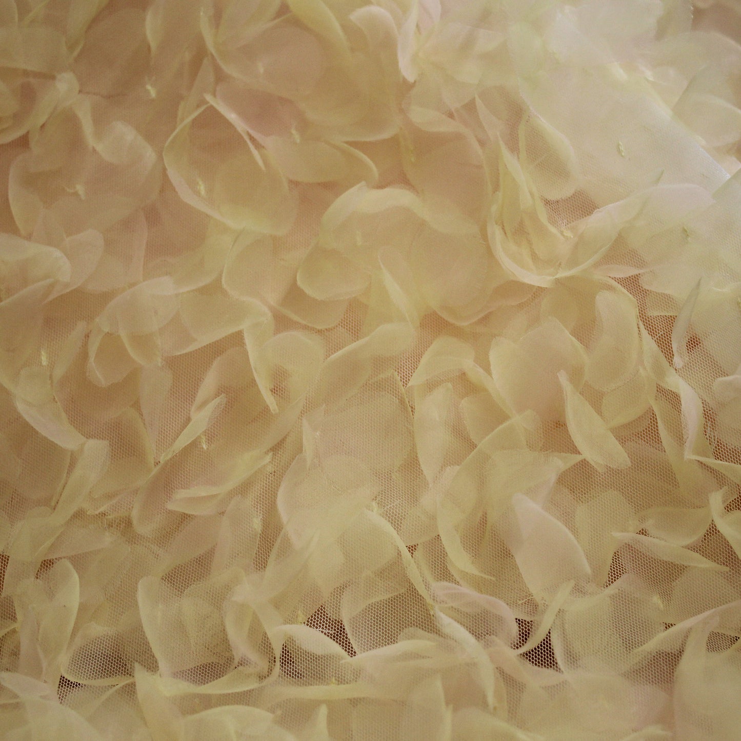 Embroidered Tulle with 3D Organza Petals and Ombre Effect