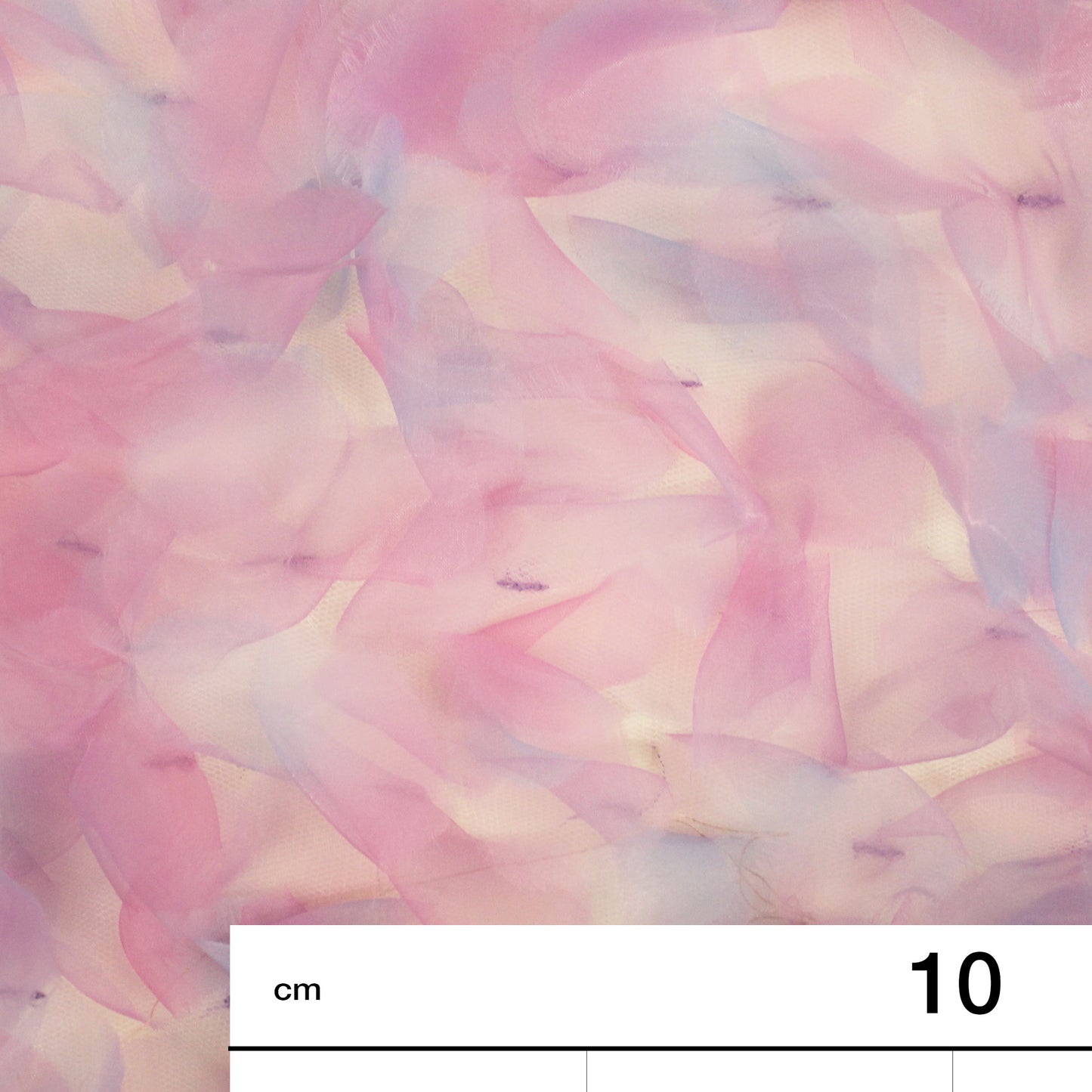 Embroidered Tulle with 3D Organza Petals and Ombre Effect