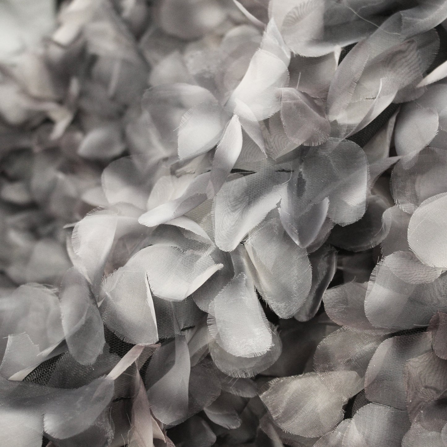 Embroidered Tulle with 3D Organza Petals and Ombre Effect