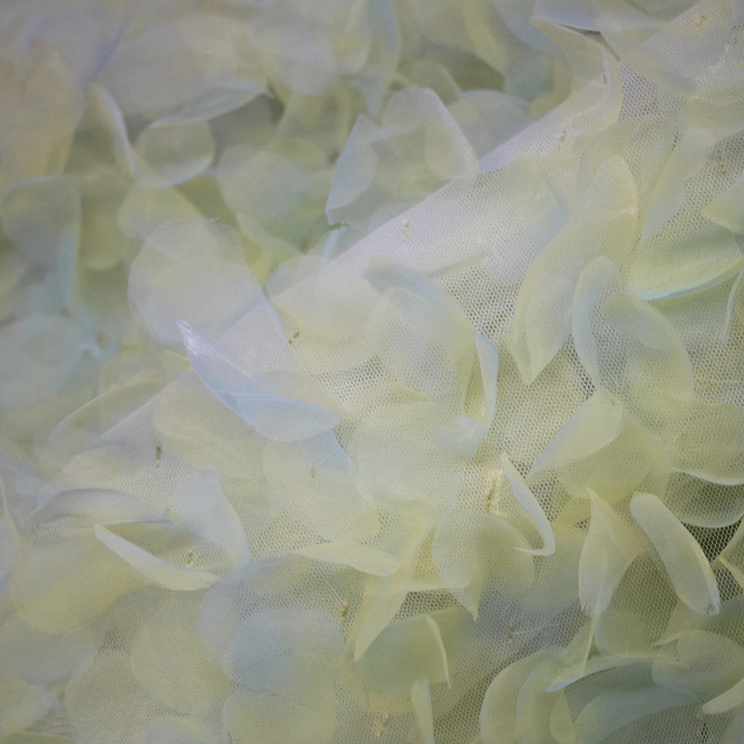 Embroidered Tulle with 3D Organza Petals and Ombre Effect