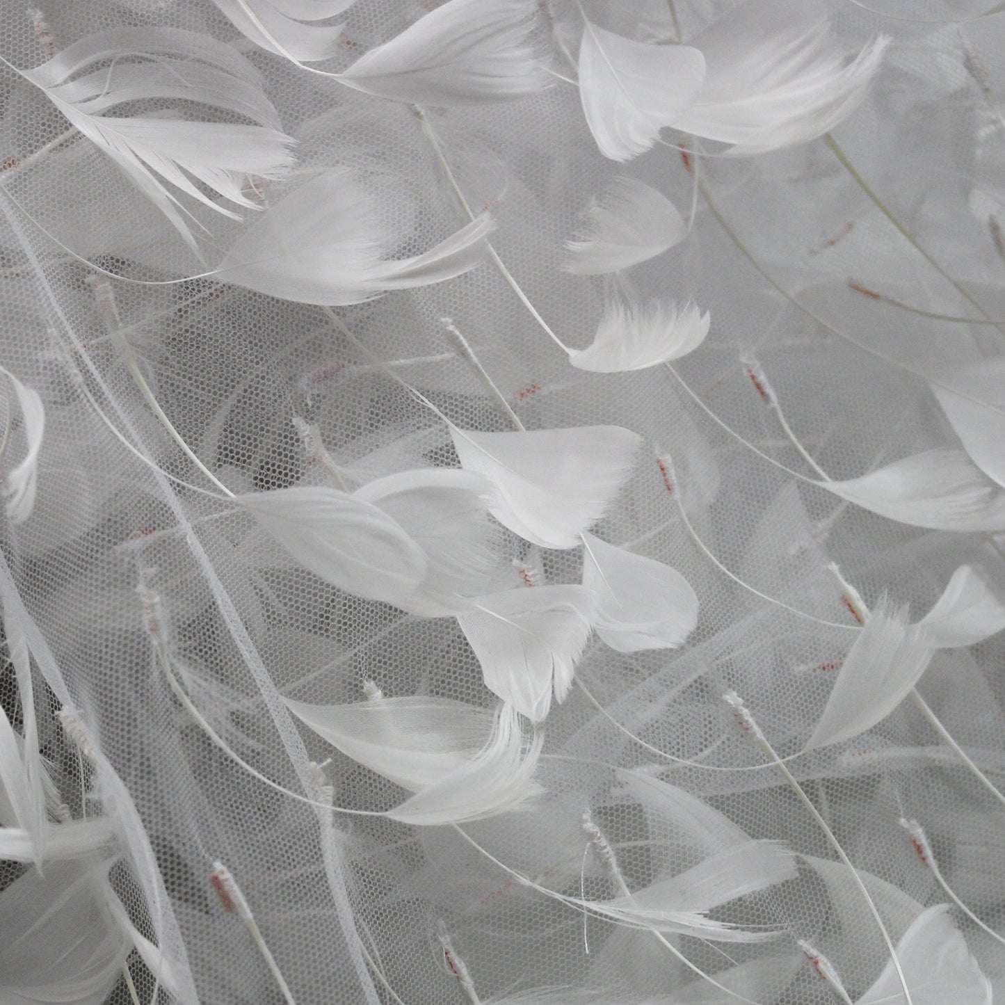 Embroidered Tulle with Tone-on-Tone Animal Feathers