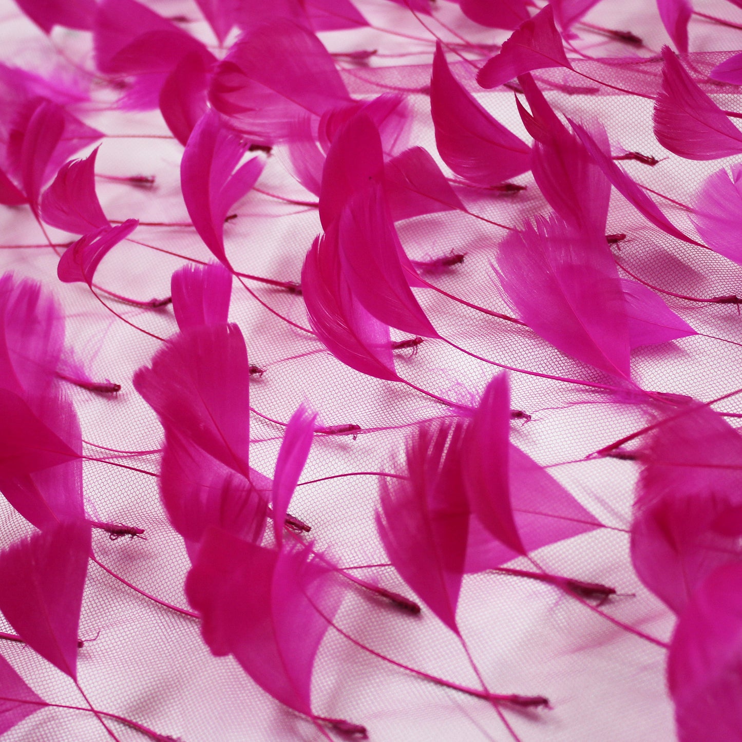 Embroidered Tulle with Tone-on-Tone Animal Feathers