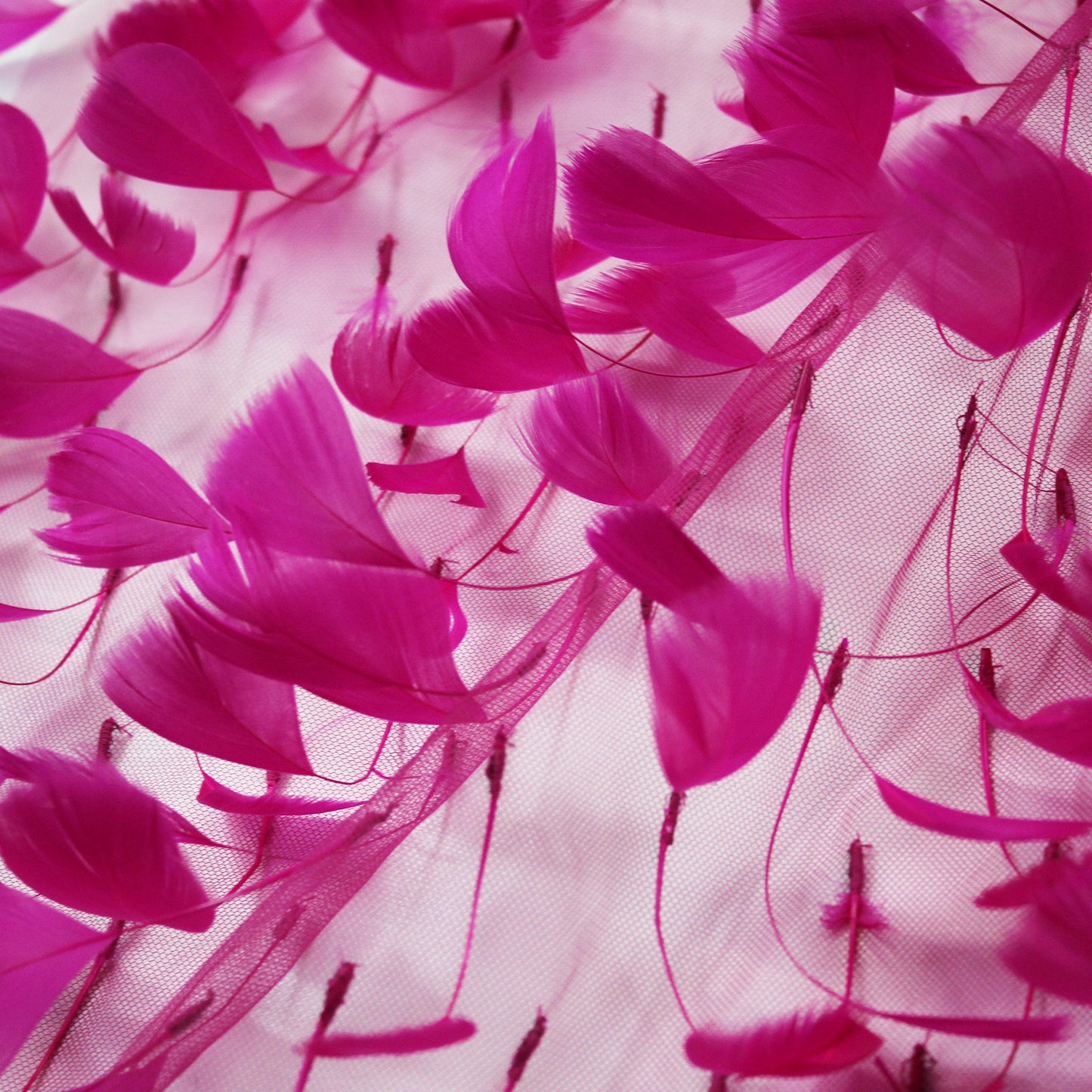 Embroidered Tulle with Tone-on-Tone Animal Feathers
