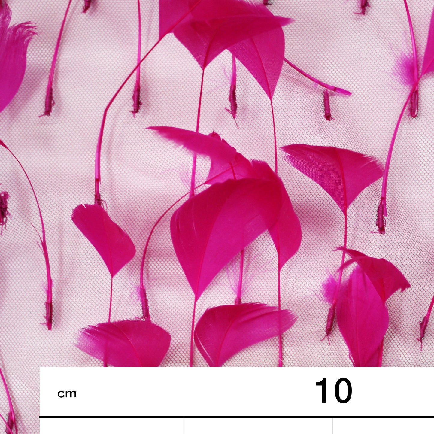 Embroidered Tulle with Tone-on-Tone Animal Feathers