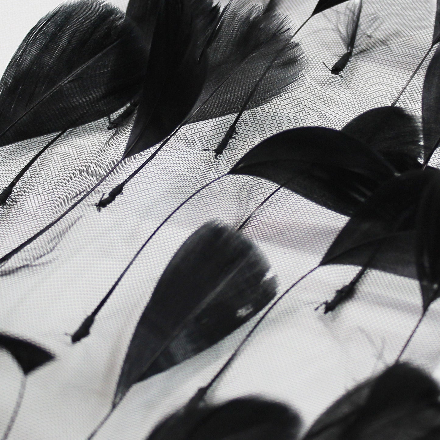 Embroidered Tulle with Tone-on-Tone Animal Feathers