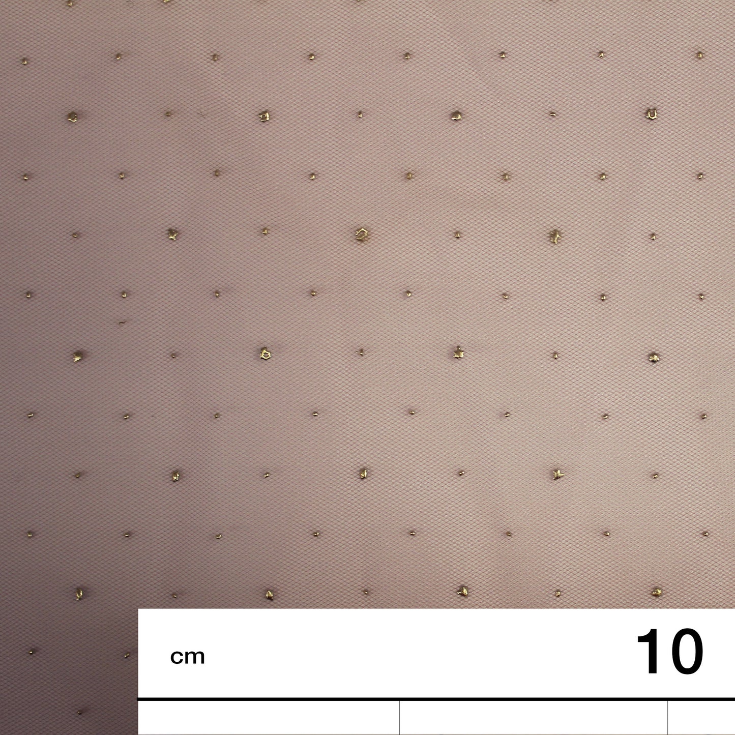 Embroidered Tulle with Strass Polka Dot Effect