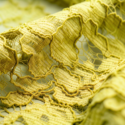Re-embroidered Lace