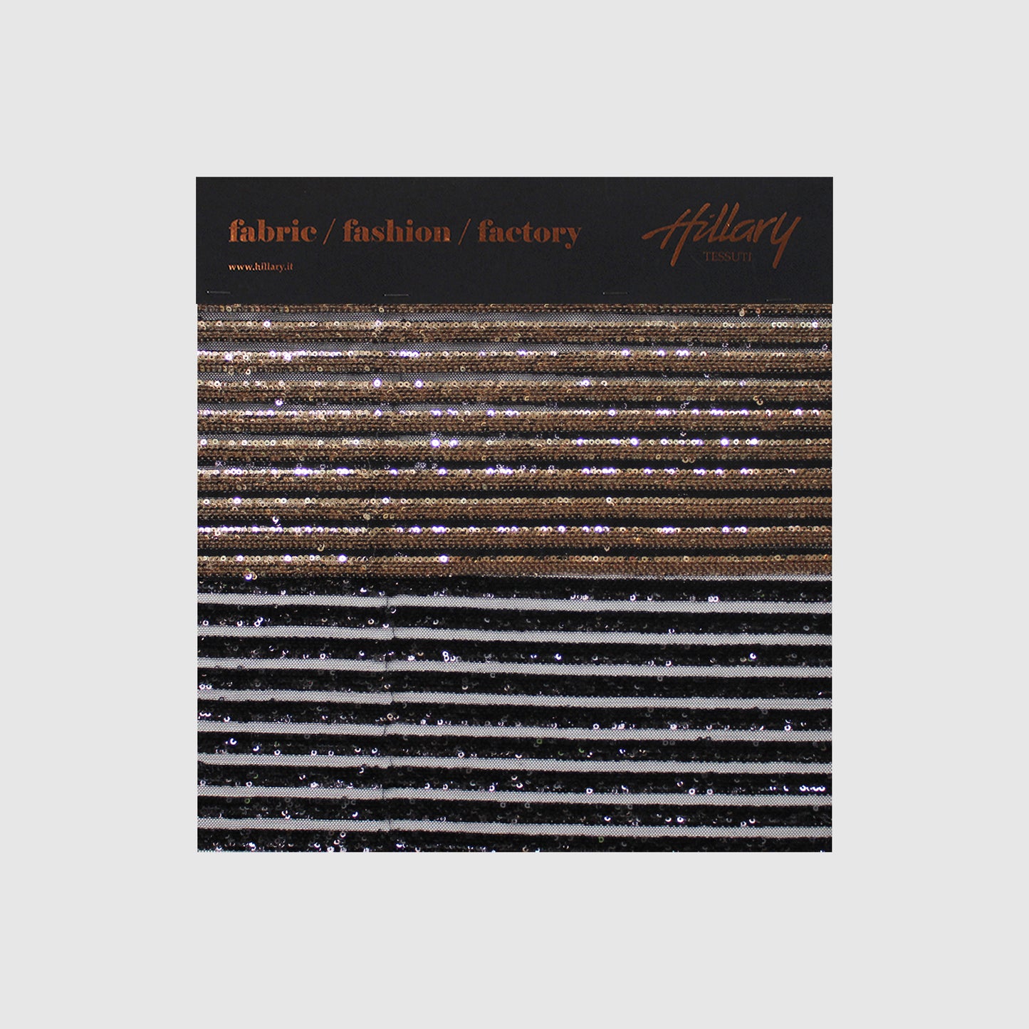 Embroidered Tulle with Horizontal Stripe Paillettes Sample