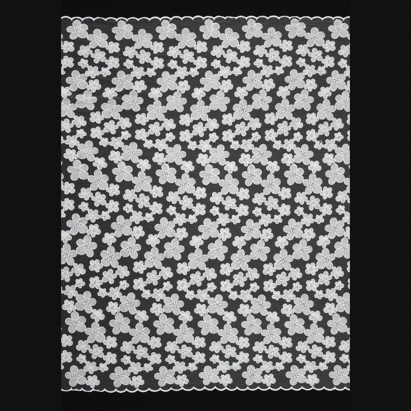 Corded Thread Floral Lace with Relief Texture