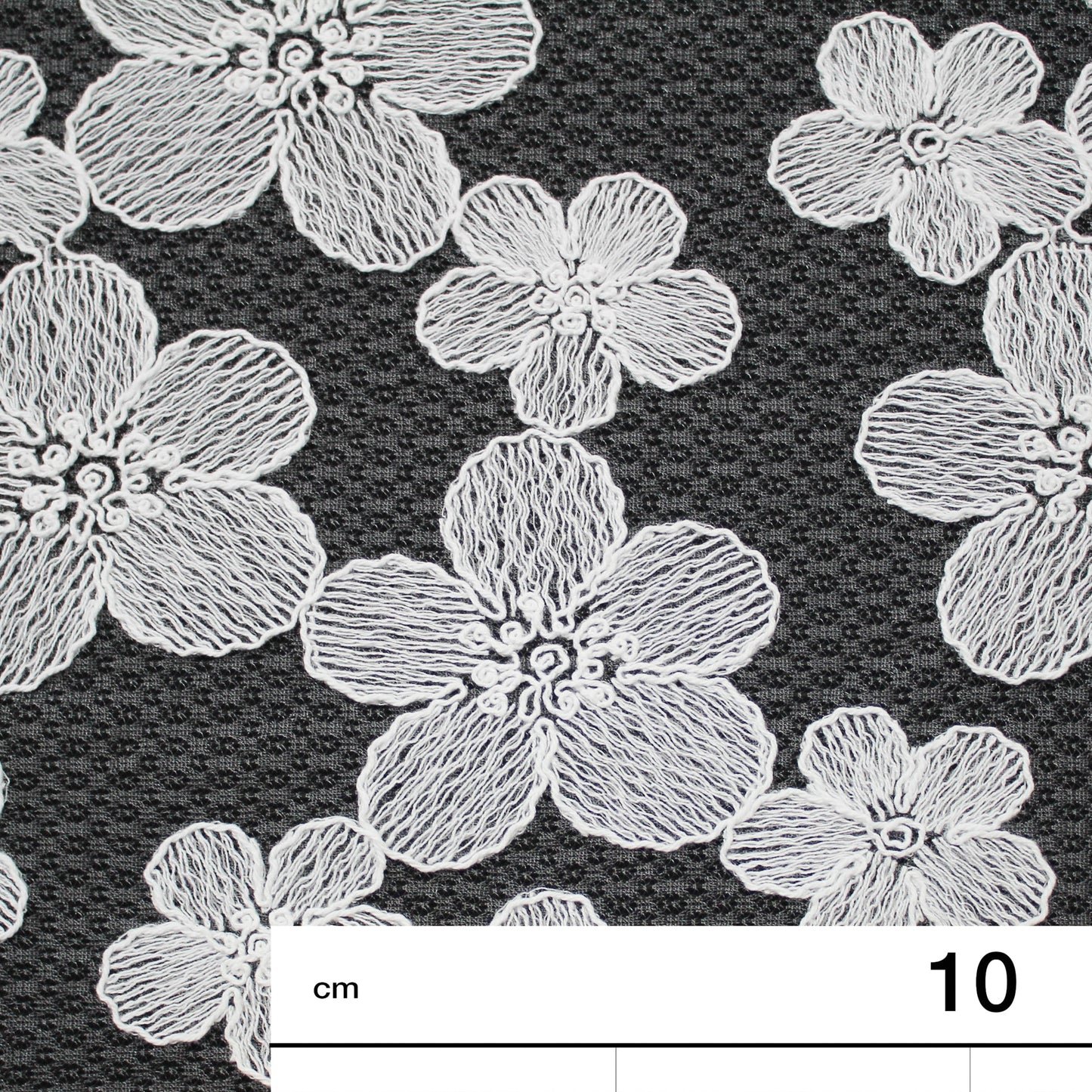 Corded Thread Floral Lace with Relief Texture
