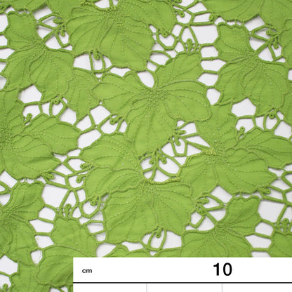 Double Border Macramé Lace with Flower Petals