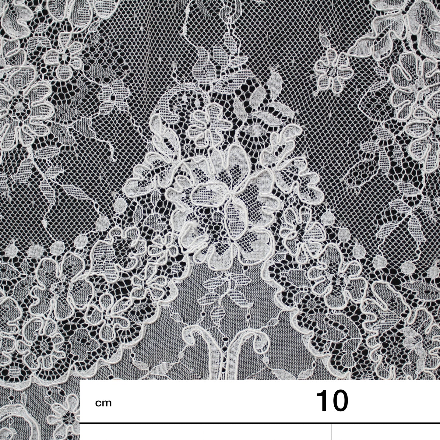 Re-embroidered Lace | Vertical Floral Stripe Pattern | Double Border | FSW2826