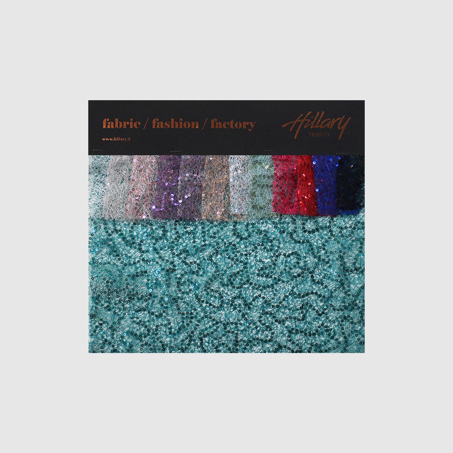 Embroidered Netting with Paillettes Sample