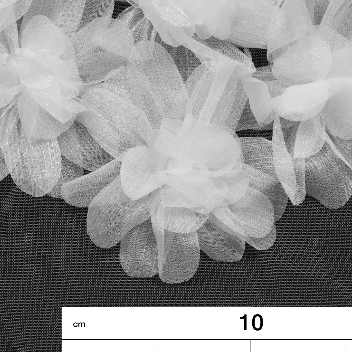 Tulle Ricamato con Fiori 3D e Petali Lucidi