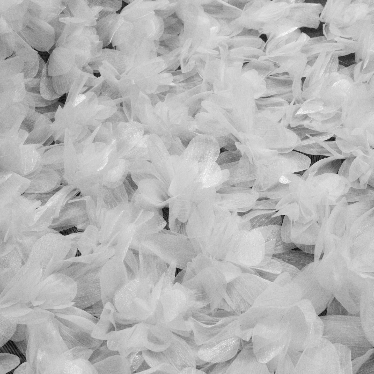 Tulle Ricamato con Fiori 3D e Petali Lucidi