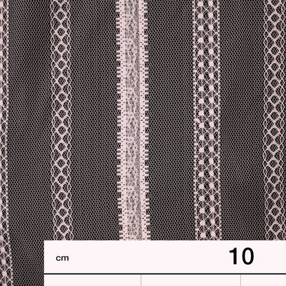 Embroidered Tulle with Ribbon Effect