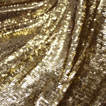 Embroidered Tulle with Shell Sequins in Full Field
