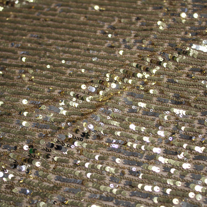 Embroidered Tulle with Vertical Paillette Stripes