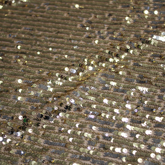 Embroidered Tulle with Vertical Paillette Stripes